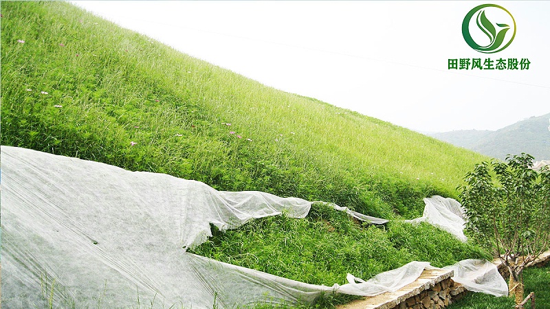 邊坡綠化、生態(tài)防護(hù)