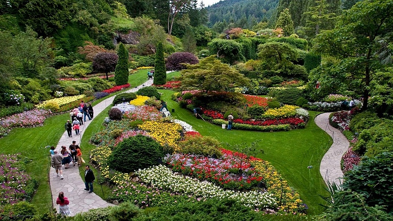 園林綠化景觀(guān)植物