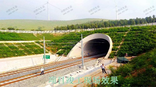 南昆高速鐵路廣西段鐵路邊坡綠化工程