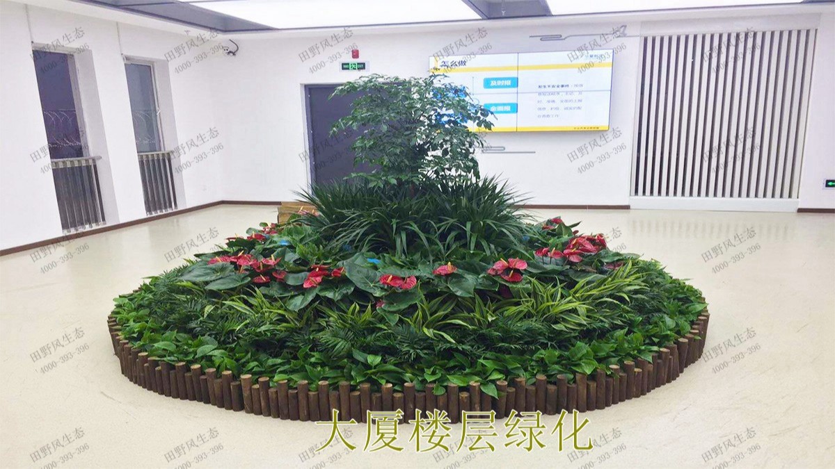 廣州市東泰化工有限公司綠植租賃案例