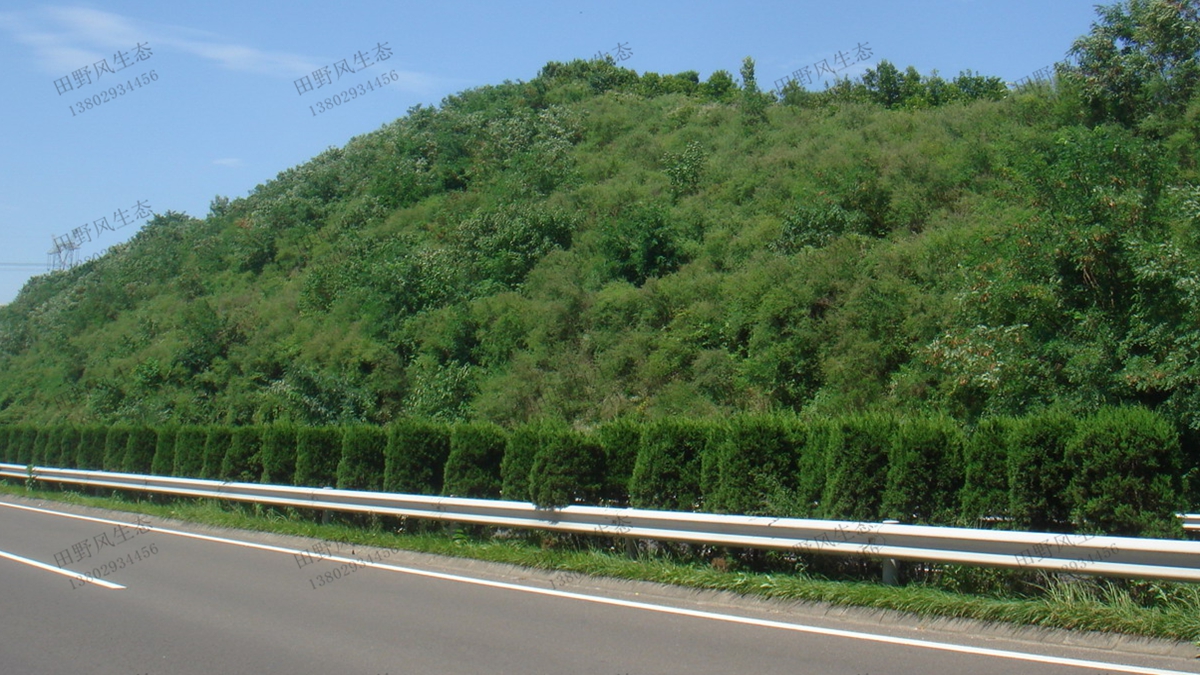 植生袋綠化技術在邊坡生態(tài)修復工程中的應用