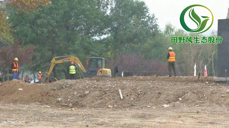 園林綠化，景觀綠化