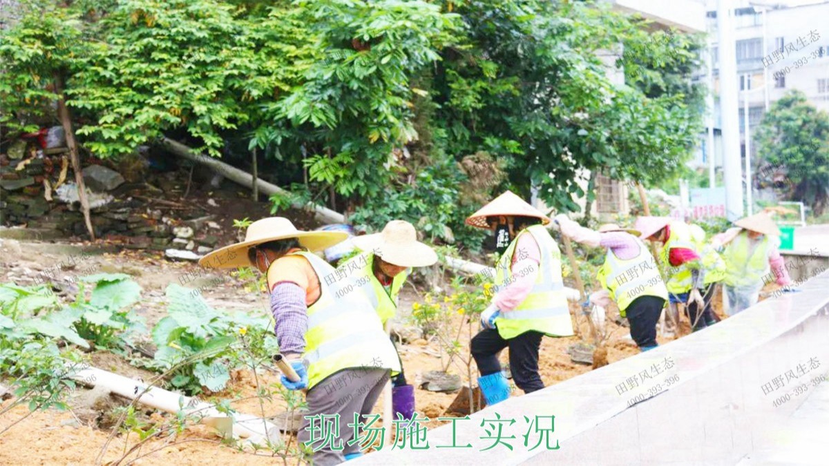 清城區(qū)銀盞河道生態(tài)治理工程