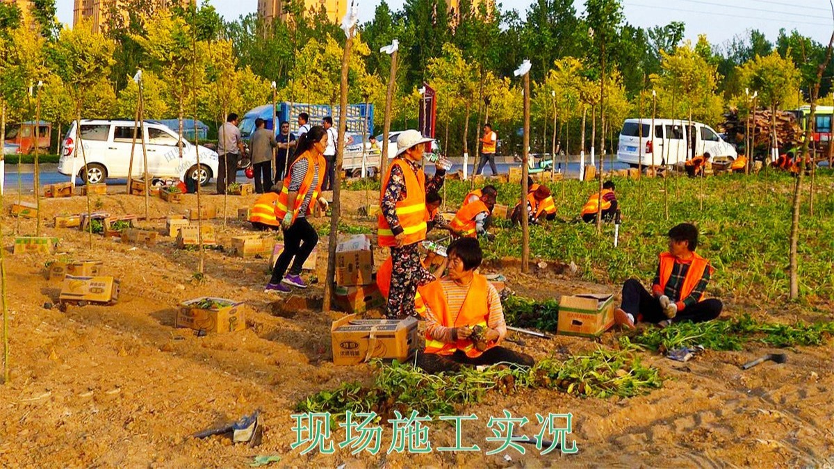 河北百花谷休閑綜合體項(xiàng)目