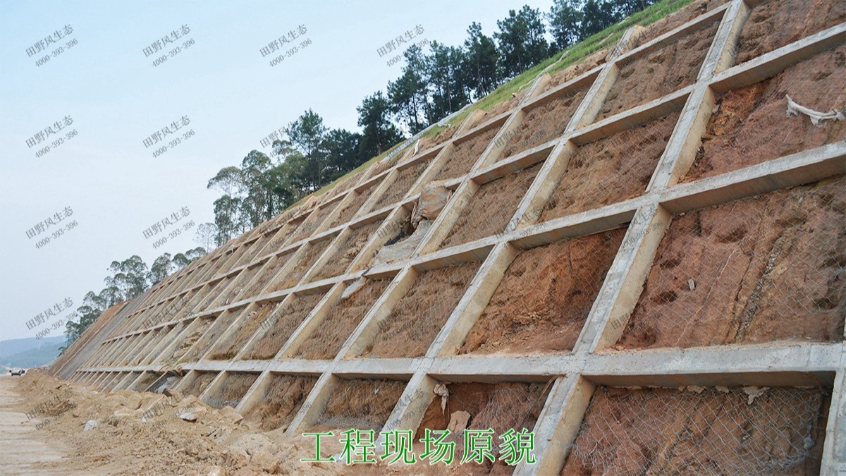 汕湛高建揭博段高速公路邊坡復(fù)綠