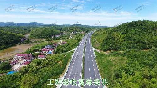 汕湛高建揭博段高速公路邊坡復(fù)綠