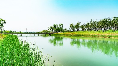 景觀生態(tài)學(xué)，自然保護(hù)與生態(tài)恢復(fù)三者間的關(guān)系