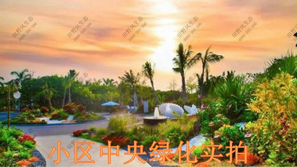 廣東碧桂園植物養(yǎng)護(hù)案例