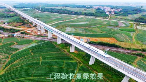 貴廣高鐵廣東段高鐵路邊坡噴草