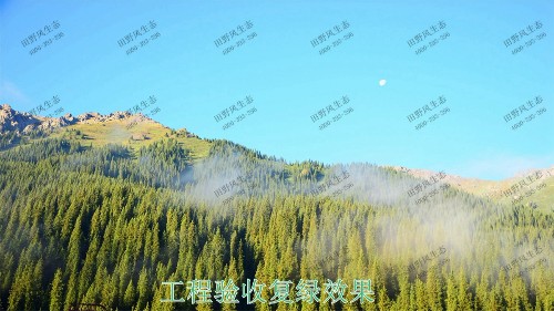 福建龍巖鐵礦山邊坡復(fù)綠