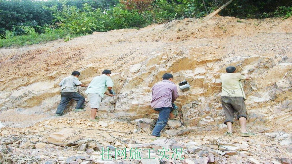 福建龍巖鐵礦山邊坡復(fù)綠