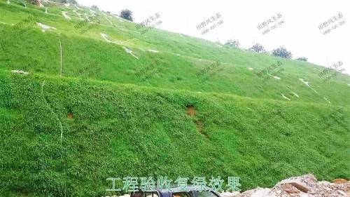 珠海長隆集團皙養(yǎng)基地邊坡修復工程