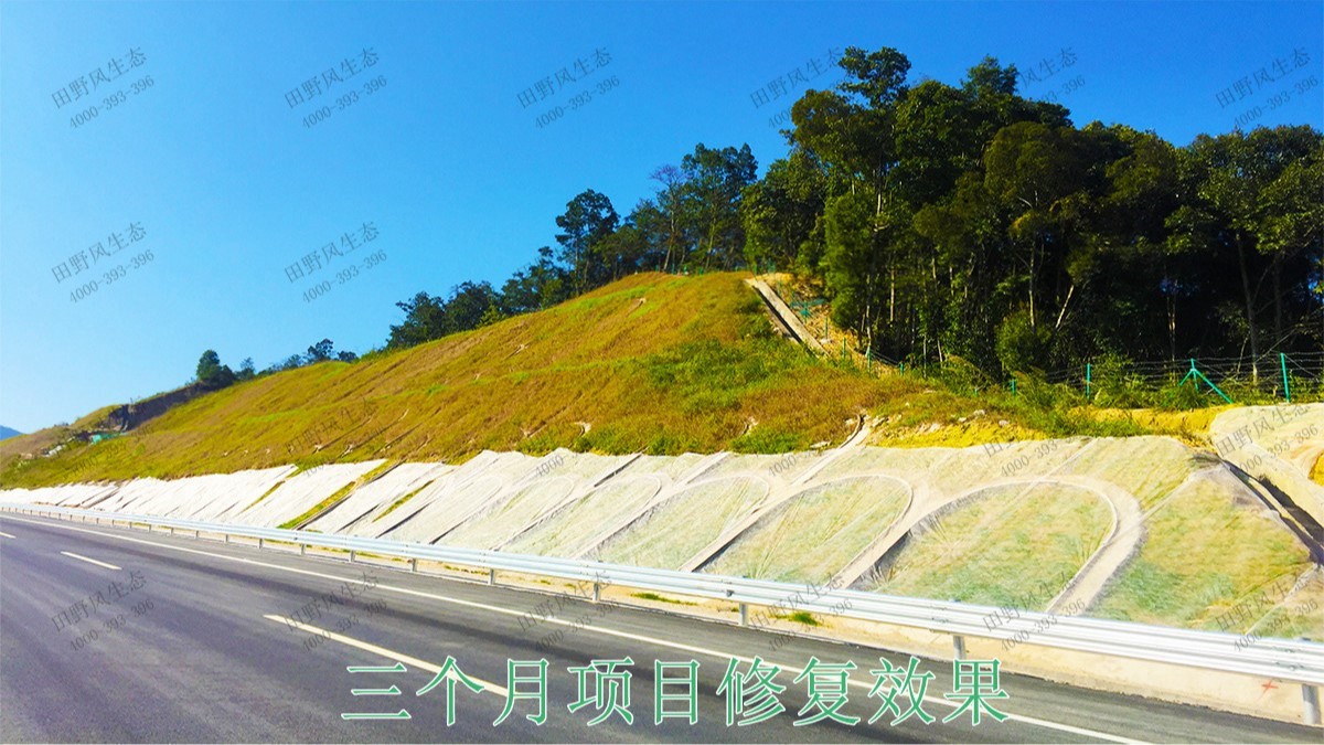 梅龍高速梅州段道路邊坡植草工程