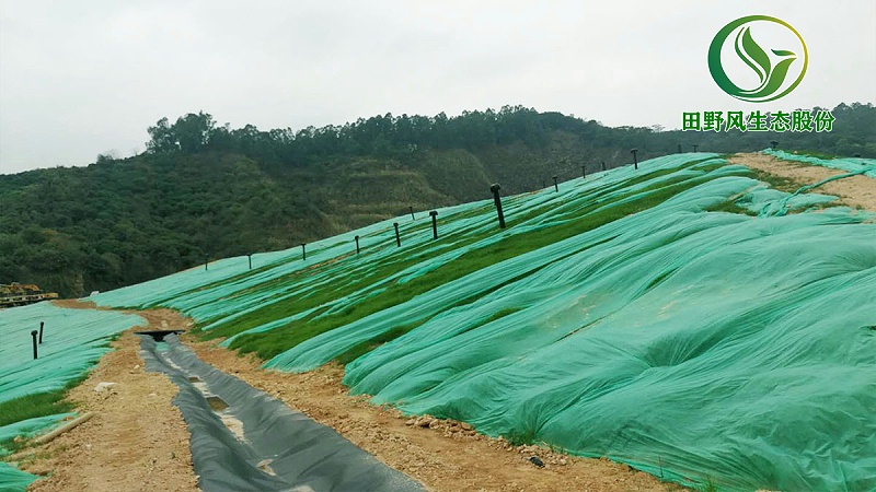 邊坡綠化,生態(tài)復(fù)綠