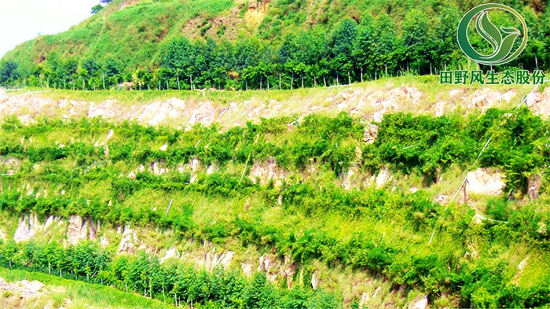 礦山生態(tài)修復,植被修復