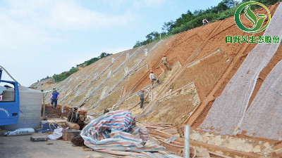 客土噴播植草全方位技術攻克