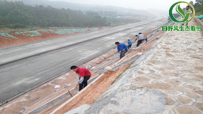 高速公路綠化，有哪些方法與竅門呢？